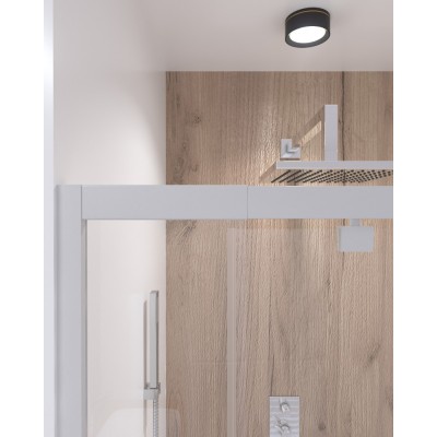 Душевая дверь в нишу Q-tap Pisces WHI208-9.CP5 Душевая дверь в нишу Q-tap Pisces WHI208-9.CP5