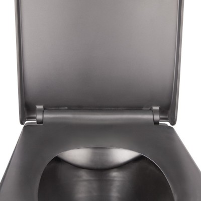 Унитаз подвесной Qtap Tern безободковый с сидением Slim Soft-close QT1733052ERMB Унитаз подвесной Qtap Tern безободковый с сидением Slim Soft-close QT1733052ERMB